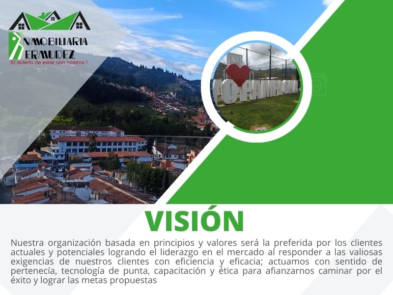 Visión